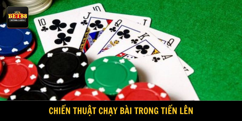 Lời khuyên của chuyên gia là bí kíp vàng cho bạn 