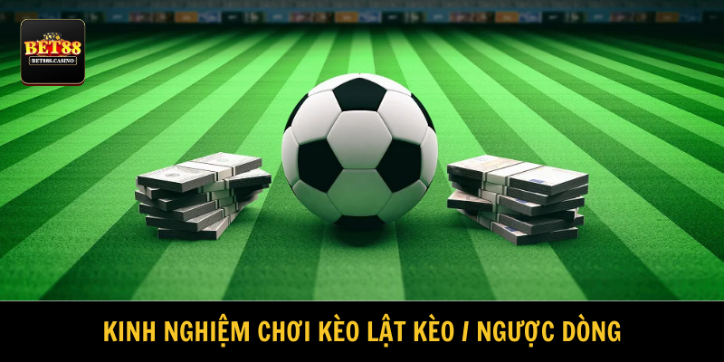 Có kinh nghiệm từ chuyên gia, bạn sẽ dễ thắng hơn 