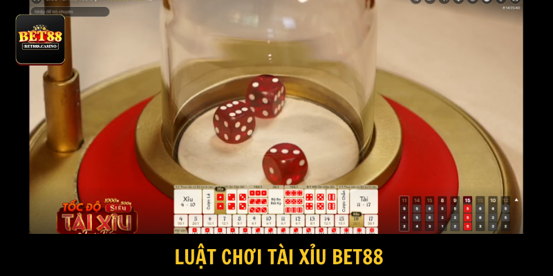 Người tham gia cập nhật hướng dẫn chơi để tự tin xuống vốn
