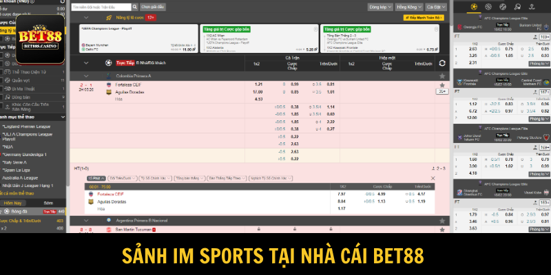 Sảnh cược IM sports chinh phục nhiều thành viên nhập cuộc 